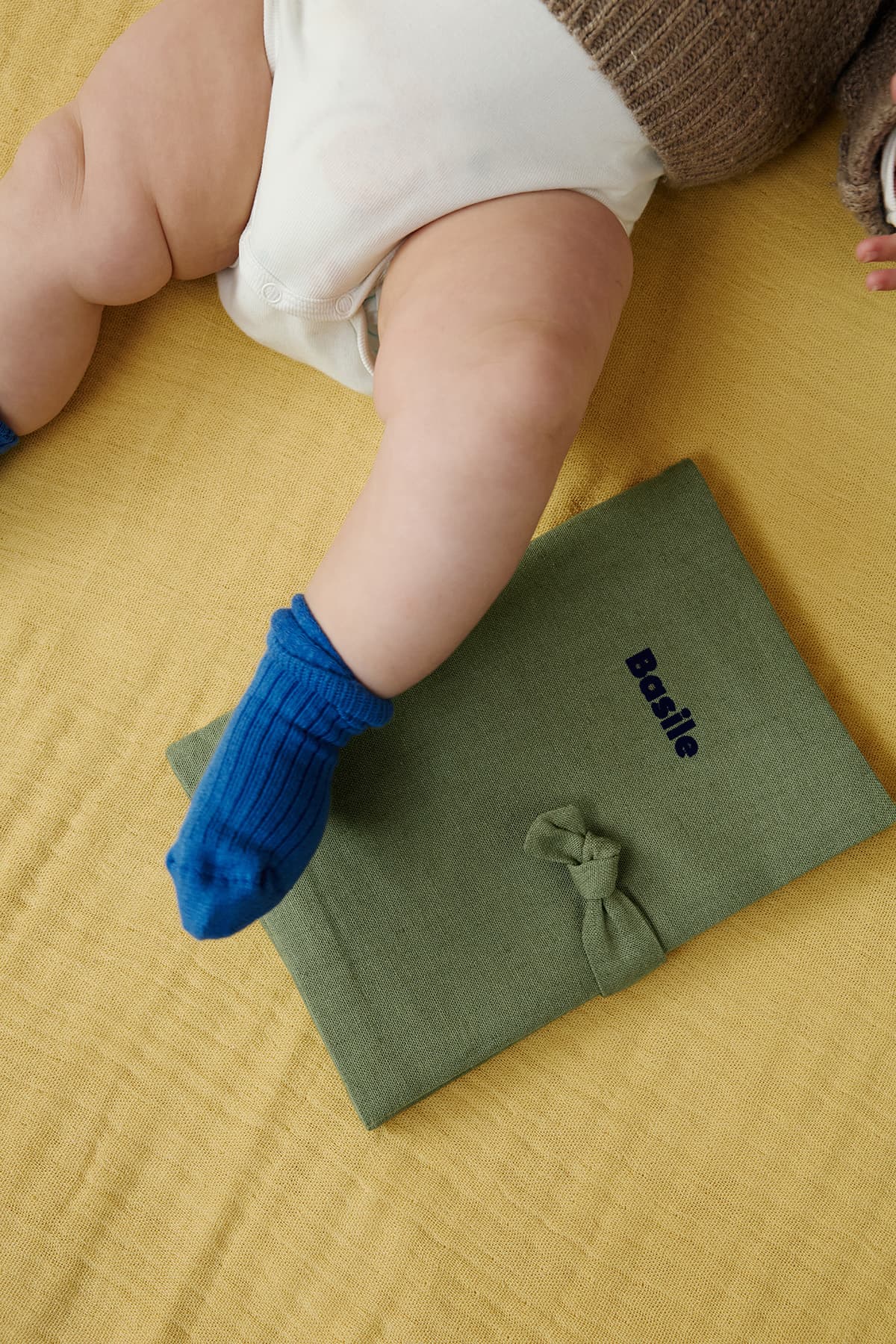 Petit Picotin, Barnabé le protège carnet de santé